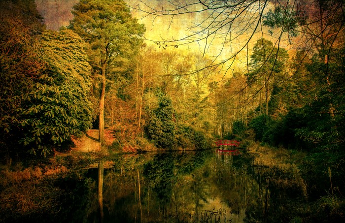 Autumn forest with a red bridge over a river