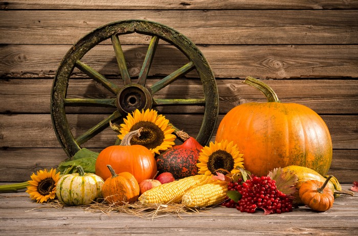Autumn still-life with pumpkins, sunflowers, and wagon wheel