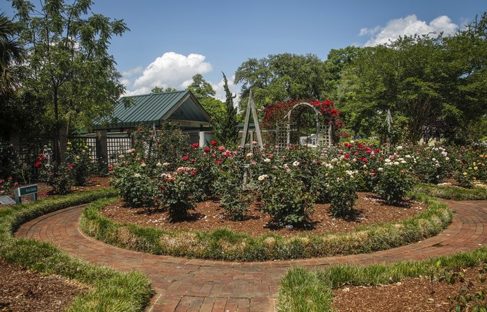 Rose Garden in Arboretum in Wilmington, USA