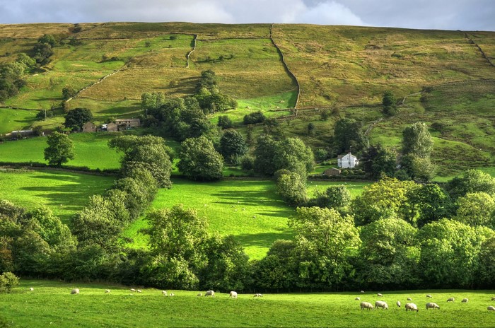 Dentdale Yorkshire United Kingdom Scenery Fields Grasslands