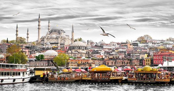 Istanbul cityscape with mosque, boats, and seagulls
