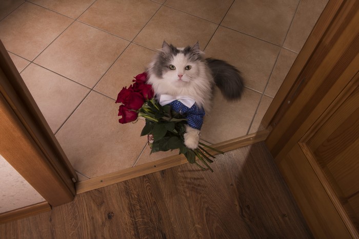 Cat with Roses at the Door