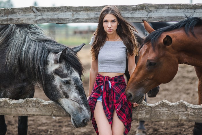 Woman with horses behind a wooden fence
