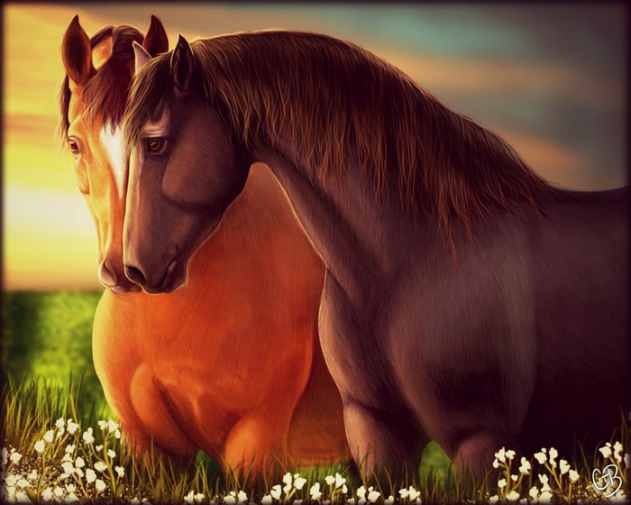 Two horses in a field at sunset