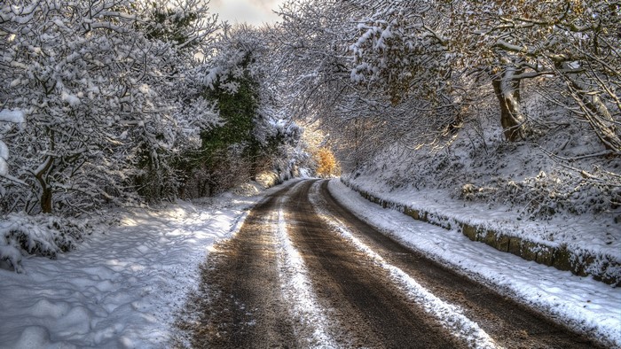 Winter Road Covered in Snow with Trees