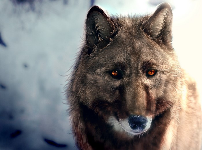 Close-up painting of a wolf with glowing eyes