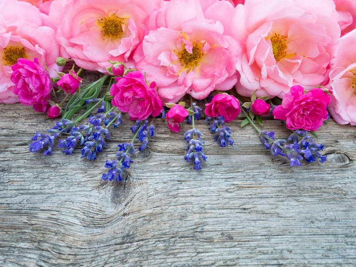 Pink Roses and Lavender on Wood