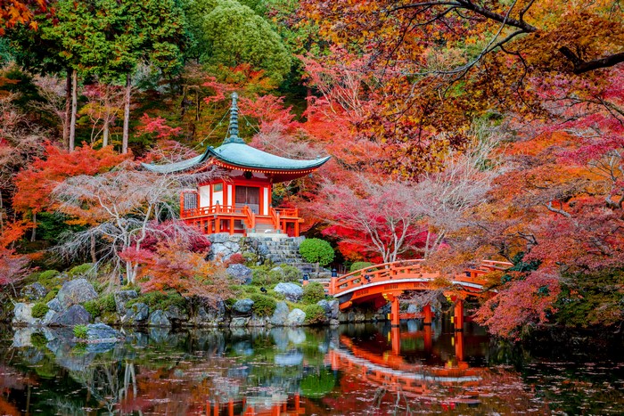 Pagoda and bridge in Kyoto during autumn