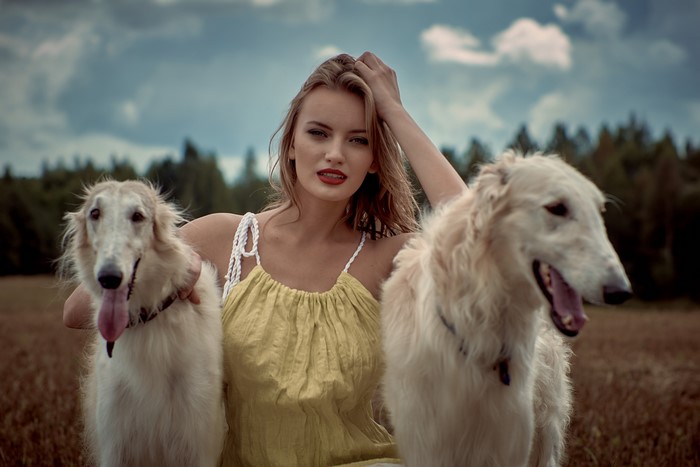Woman with two Borzoi dogs in a field