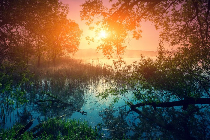 4K Sunrise over a Misty Lake with Trees