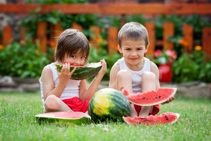 Two boys eating watermelon on grass