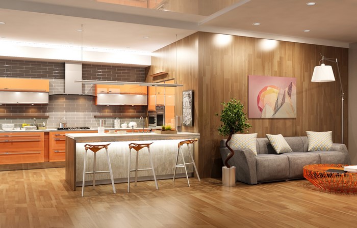 Modern kitchen and living room interior design
