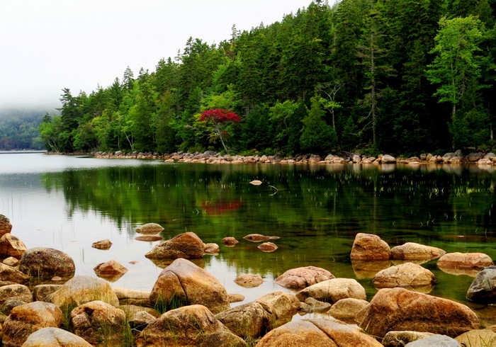 Acadia National Park Lake and Forest Landscape