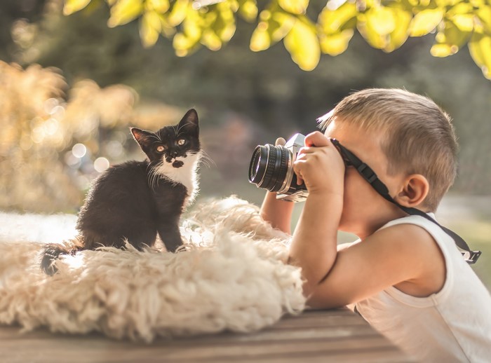Boy photographing a kitten with a camera