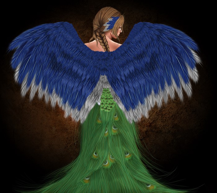 Woman with Peacock Wings and Braid Hair