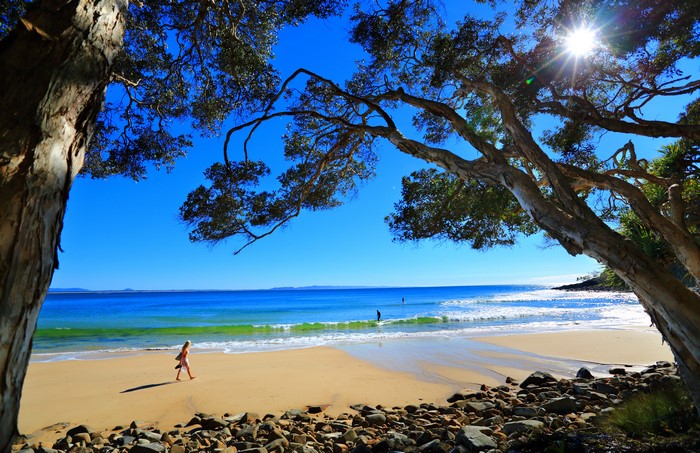 Beach with trees and ocean