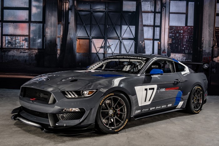 Ford Mustang GT4 Race Car with number 17
