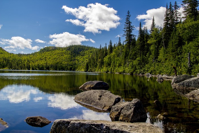 Lake and Forest in Grands Jardins National Park, Canada