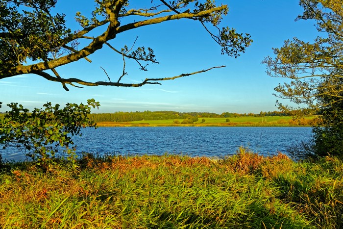 Autumn landscape with lake and trees in Germany