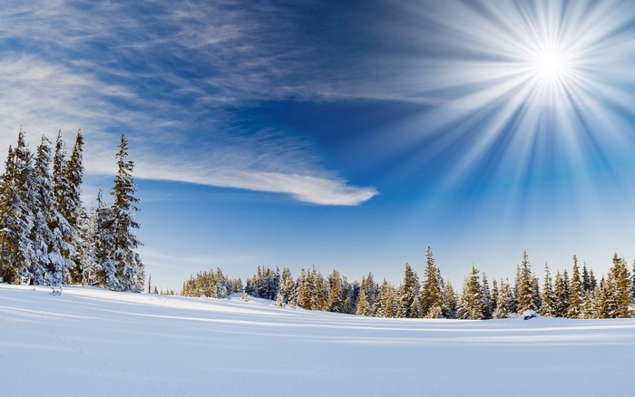 Snowy forest with bright sun and blue sky