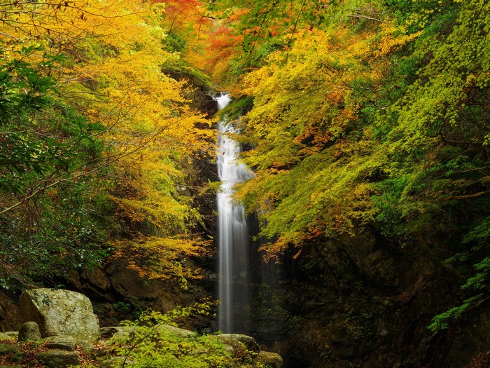 Autumn Waterfall in a Forest