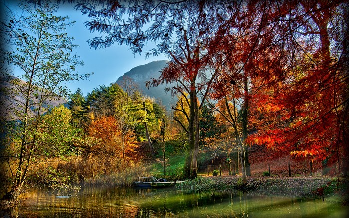 Autumn lake scenery with colorful trees and a mountain
