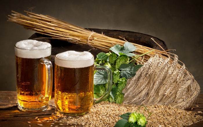 Two mugs of beer with wheat and hops
