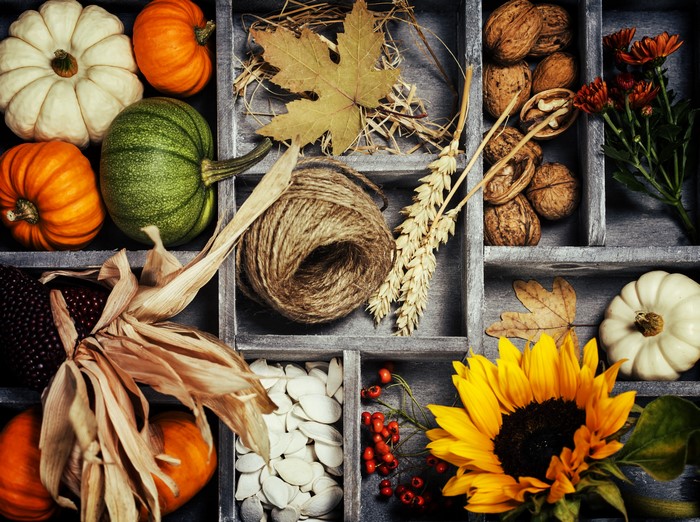 Autumn Harvest Display with Pumpkins, Nuts, and Sunflower