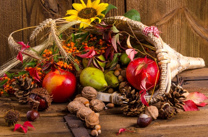 Autumn Cornucopia with Fruits, Nuts, and Sunflower
