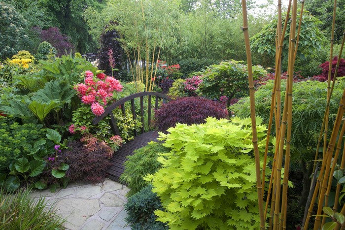 A lush garden with a wooden bridge and bamboo