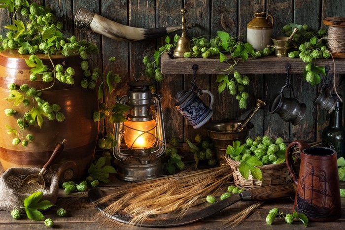Still-life with hops, beer mug, and kerosene lamp
