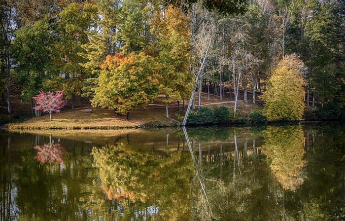 Lake with Autumn Trees and Reflection in Lanier, Virginia