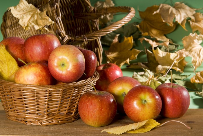 Apples in a wicker basket with autumn foliage