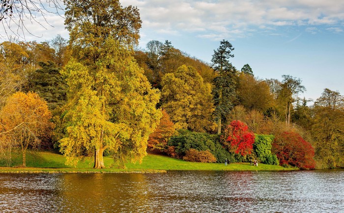 Autumn trees by a river in Westonbirt Arboretum, United Kingdom