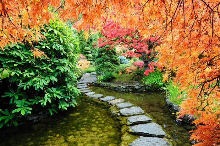 Autumn Garden with Stepping Stones and Pond