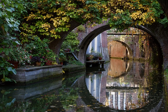 Canal bridges with foliage and reflections in Utrecht, Netherlands