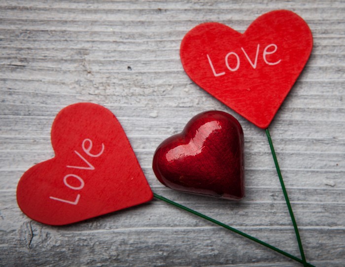 Valentine's Day hearts with the word "Love"