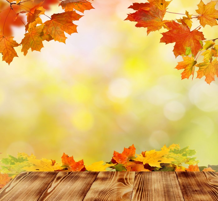 Autumn Leaves and Wooden Planks Template