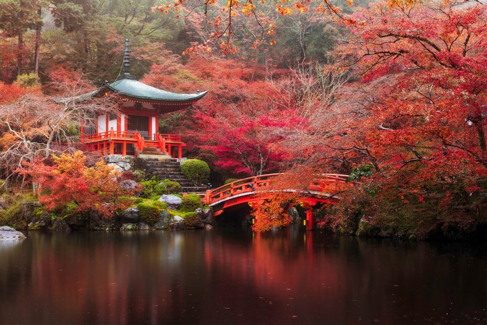 Pagoda and bridge in Kyoto park during autumn