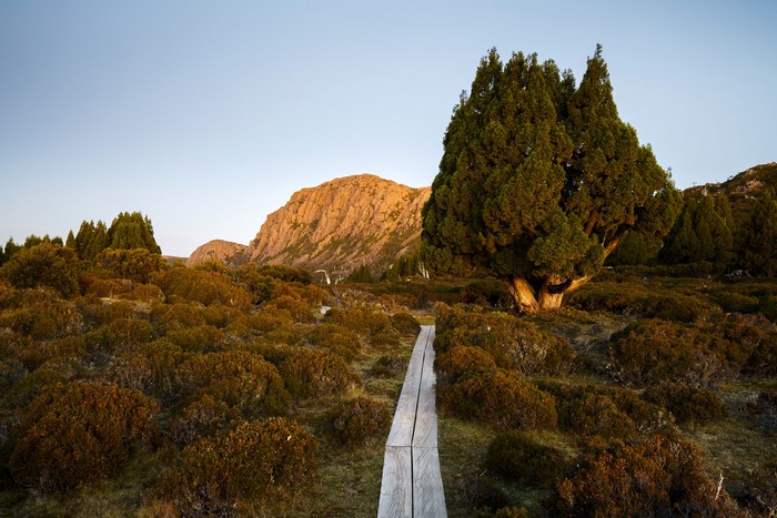 Jerusalem National Park Tasmania, Australia