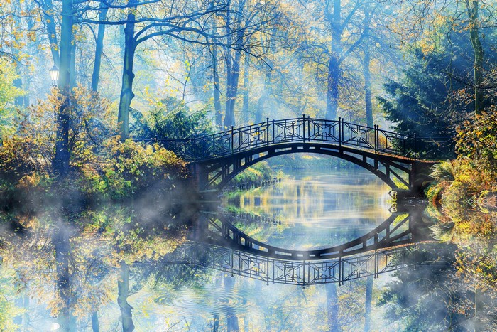 Autumn bridge over a misty river in a park