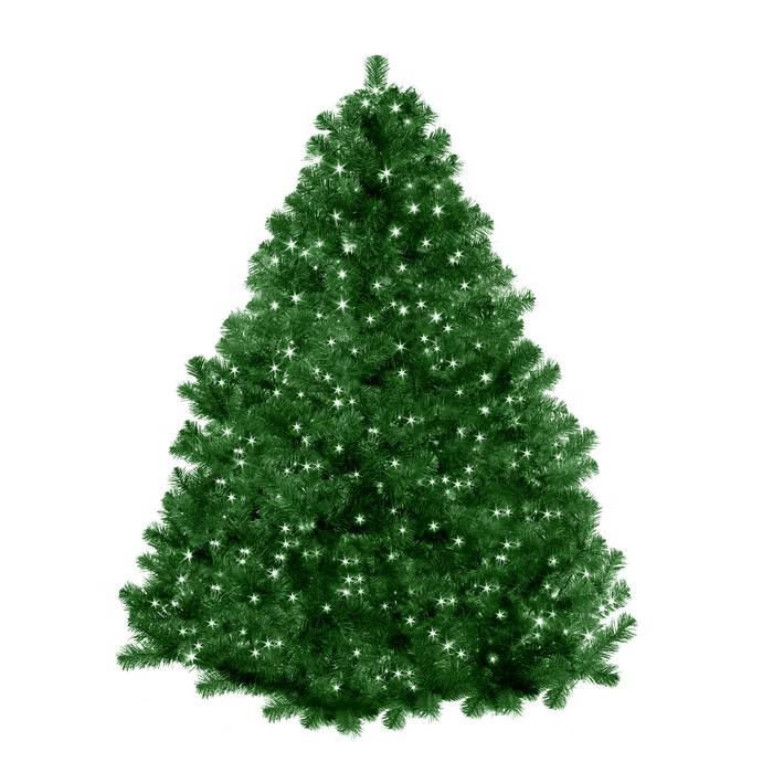 Christmas tree with fairy lights on white background