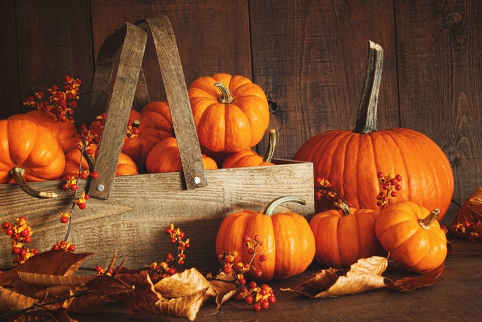 4K Pumpkins in a Wicker Basket