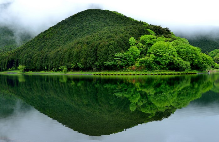Lake Tanuki with Mountain and Lush Forests in Japan