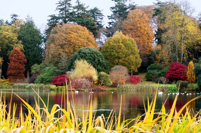 Mount Stewart Lake in Autumn, United Kingdom