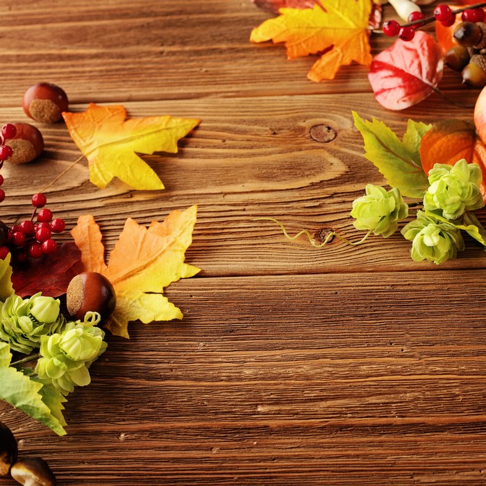Autumn leaves, nuts, and hops on wood planks