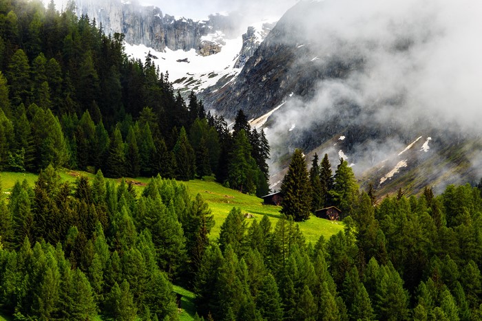 Switzerland Alps Mountains Forest with Cabins