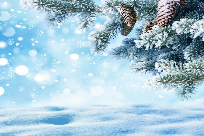 Snowy Spruce Branches with Pine Cones and Snowflakes