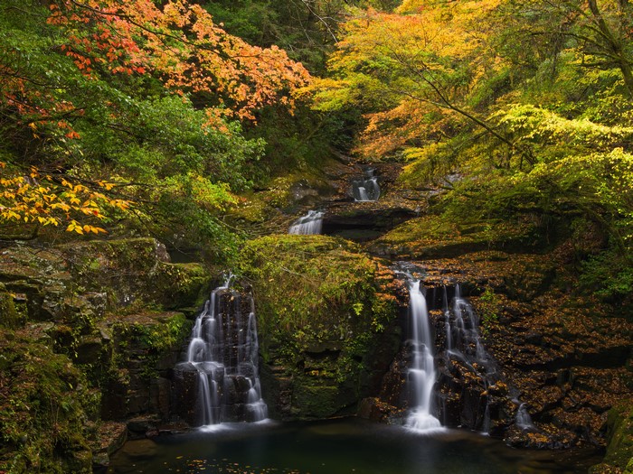 Autumn Waterfalls in a Forest