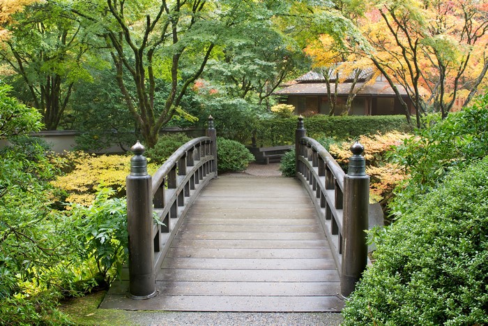 Wooden bridge in a Japanese garden with autumn foliage